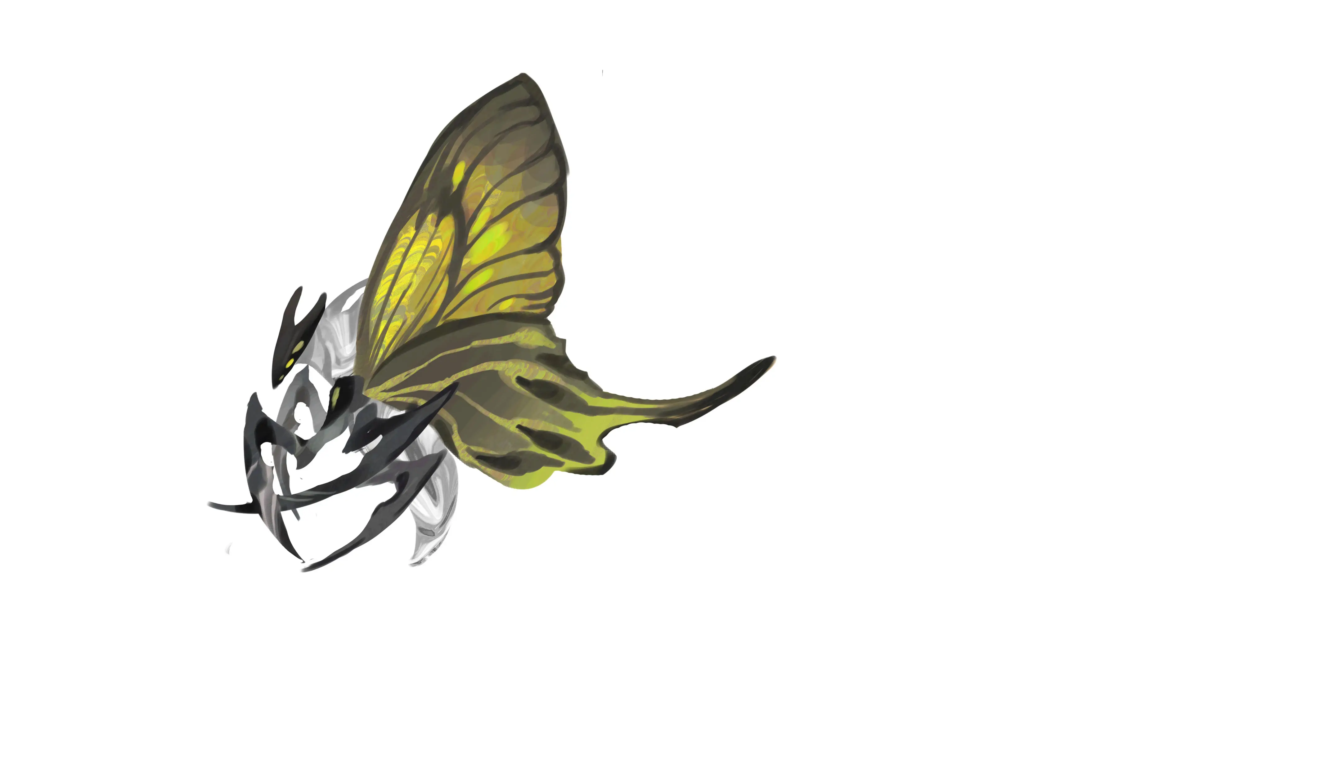 黄翅针灵 · Acus flavipennis