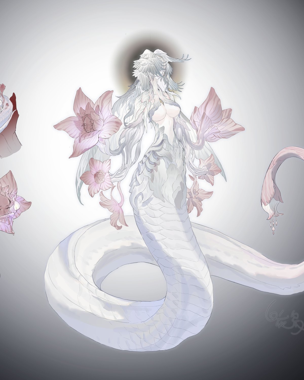 白夜枭作品 · 睡莲 Nymphaea somni